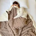 Nap Sofa Cover Lamb Blanket Thickened Bedding Sheet Velvet Flannel and Woolen Blanket for Air