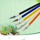 Garden succulents potted planting grafting tool knife repair rhizome cutting bud grafting fruit