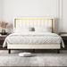 Mercer41 Rosela Platform Bed Upholstered/Velvet/Metal | 63.6 W x 81.1 D in | Wayfair 2CF78E8C31934A119A0CB34A812B7CAB