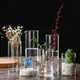 Vase hydroponique en verre transparent vases à intervalles de verre bougeoir tasse vase à fleurs