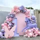Ensemble de Ballons Roses Violets Arc de Mosaïque de Papillon Lavande Pastel Rose Guirxiété
