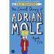 The Secret Diary Of Adrian Mole Aged 13 3/4