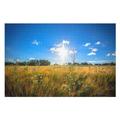 Collectibles Modern Home Decoration,Wheat field white flowers, green, sun rays,Adults 1000 Piece Jigsaw Puzzle- Christmas 75x50 wooden