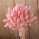 Bunny Tails Dried Flowers,100Pcs 40cm Dried Bunny Tail Grass Decorative Flowers Material Dry Flowers Rabbit Tail Grass Bouquets Christmas Decor Light Pink