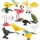 Ensemble de Mini oiseaux 10 pièces modèles perroquets colibris jouets éducatifs pour enfants