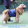 Imbracatura per cani portatile per gambe posteriori imbracatura di supporto per l'anca imbracatura