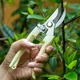 Pruning Garden Scissors Professional Garden Trimmer Orchard Scissors Hand Tools Bonsai Gardening