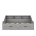 Red Barrel Studio® Dinoshan Bookcase Storage Bed Wood in Gray | 31.1 H x 83.2 W x 77.9 D in | Wayfair 00DFAE06EFC04CB7A4D5BFFF4705679A