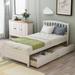 Twin Size Storage Platform Bed Wood Bed Frame With Two Drawers and Headboard,No Box Spring Needed