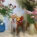Lmueinov Holiday sales Dog Flower Pot Planter Cute PVC Herb Garden Dog Flower Pot Indoor/Outdoor Plant Dog Flower Pot Pet Flower Pot Great Gift For Pet Lovers Clearance sale