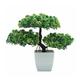 Artificial Plants Indoor Artificial Bonsai Pine Tree 9.4 Inch Faux Potted Plant Desk Display Fake Tree Pot Ornaments Indoor Plant for Home Office Decoration Simulation Plant Potted