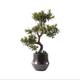 Artificial Bonsai Tree New Zen Artificial Cedar, Artificial Stone Bonsai Artificial Plant Decoration, Japanese Tea Room Closet Porch Artificial Potted Artificial Tree Simulation Bonsai Tr