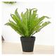 SmPinnaA Artificial Plants Indoor Potted Artificial Plants Simulation Plant Plastic Flower Persian Grass Fern for Home Farmhouse Office Desk Bathroom Kitchen Decor Simulation Plant Potted