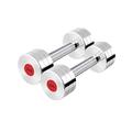 LYUN Dumbbells Pure Steel Plating Dumbbell, Dumbbells Pair For Body Workout Home Gym Fitness Home Fitness Equipment 2kg-20kg/4.4lb-44lb Dumbbells Fitness (Color : Silver, Size : 2 kg x 2)