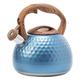 HFGMSZGG Kettles，Kettle Stainless Steel Tea Kettle Stovetop Grade Tea Pot with Heat-Proof Handle for Gas Induction Campicookers/Blue