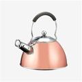 Tea Kettle Premium Stylish Stove Top Large 2.5 Litre Satin Stainless Steel Whistling Kettle with Soft Touch Handle and Push Button Spout Stove Top Whistling Tea Kettle