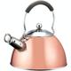 Tea Kettle Household Whistling Kettle Milk White 304 Stainless Steel Ringing Pot Gas Stove Induction Cooker Universal 3 Large Capacity Copper Gold 3L Stove Top Whistling Tea Kettle