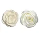 Pince à cheveux florale blanche lait épingles à cheveux en forme d fleur camélia artificielle Rose