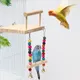 Bird Swing Toy Wooden Parrot Perch Stand Playstand with Chewing Beads Cage Playground for Budgie