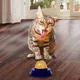Cat Catnip Cat Toys Healthy Nutrition Cat Lollipop Cat Snacks With Adhesive Cat Spherical Candy Cat