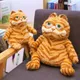 New Garfield Anime Figures Models Toy Dolls Plush Toys Children's Doll Birthday Gift Ugly And Cute