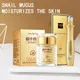 Anti-aging whitening snail cream to remove eye bags collagen skin care set skin care cream to