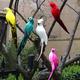 6 Colors 25cm Simulation Parrots Birds Artificial Parrots Home Garden Yard Decoration