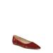 Wanda Pointed Toe Flat