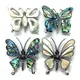 Butterfly Shape Natural Freshwater Shell Brooch Necklace Pendant Abalone Mother of Pearl Jewelry