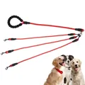 Corde de traction pour animaux de compagnie 3 en 1 laisse pour chien multiple séparateur