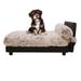 Tucker Murphy Pet™ Evelina Dog Sofa Polyester in White/Brown | 18" H x 24" W x 36" D | Wayfair 80AF89564BBB4637B70502F317994CCD