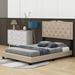 House of Hampton® Jovetta Upholstered Velvet Modern Platform Bed w/ Rivet Design, Tufted Headboard Metal in Brown | Wayfair