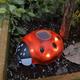 Solar Powered Lawn Lamp Ladybug Lamp Fence Lamp Beetle Lamp Courtyard Lamp New And Unique Lamp