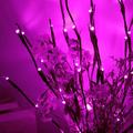 Led Branch Light Battery Operated Lighted Branch Vase Filler Willow Tree Artificial Little Twig Power Brown 30 Inch 20 LED for Home Wedding Party Romantic Decoration