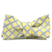 Curated Basics Yellow Foulard Bow Tie - Yellow