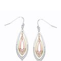 Genevive GENEVIVE Sterling Silver Tri Color Plated Cubic Zirconia Drop Earrings - Gold