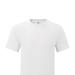 Fruit of the Loom Fruit of the Loom Mens Iconic Classic T-Shirt (White) - White - 5XL