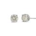 Haus of Brilliance .925 Sterling Silver 1/2 Cttw 4-Prong Round-cut "Salt and Pepper" Diamond Classic Stud Earrings - White - OS