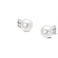 Haus of Brilliance 14K Gold Round 7.0-7.5 mm Saltwater Akoya Cultured Pearl Stud Earrings AAA+ Quality - White - 7 X 7 X 15