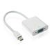 Lifetechs Mini DP DisplayPort to VGA Converter Portable Adapter Transducer Extension Cable