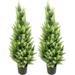 3FT Artificial Cedar Trees Artificial Topiary UV Resistant Potted Plant Artificial Outdoor Tree Artificial Plants for Indoor Outdoor Garden