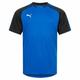 PUMA Ascension Herren Trainings Trikot 654917-02