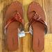 American Eagle Outfitters Shoes | American Eagle Sandals Size 10 | Color: Brown | Size: 10