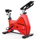 AQQWWER Exercise Bike Gym Exercise Bike Type Exercise Bike Household Silent Indoor Pedal Bike Spin Bike (Color : Red)