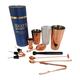12 Piece Essential Stainless Steel Bartender Cocktail Boston Style Shaker Gift set, Professional Bar Tools for Drink Mixing, Home, Bar, Party (Copper)