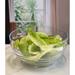 Swirl Acrylic Serving Bowls, Unbreakable Large Plastic Bowls, Soup Bowls, Salad Bowls, Cereal Bowl for Snacks, BPA Free