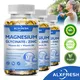 Magnesium Glycinate Supplement 500mg with Zinc Vitamin D3 B6 Ease Nerve Muscle Joint Brain