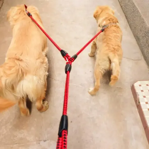 Starke doppelte Hunde leine doppelte Hunde leine doppelte Hunde lauf leine bequeme Haustier leine