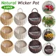 Handmade Rattan Basket Wall Hanging Wicker Flower Pot Retro Woven Rattan Vase Baskets Cachepot For