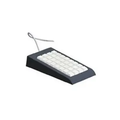 Epson 7106589 Tastatur USB Grau